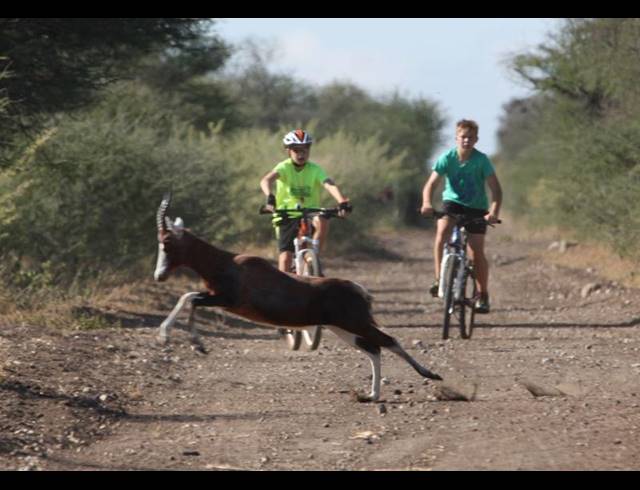 FARM FOR SALE IN LEPHALALE